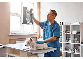 San Mateo Veterinary Clinics South Hillsdale Animal Hospital