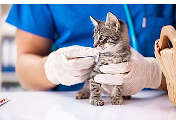 San Mateo Veterinary Clinics South Hillsdale Animal Hospital