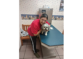 Mesquite Veterinary Clinics South Mesquite Veterinary Hospital