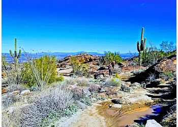 South Mountain Park and Preserve Phoenix Hiking Trails