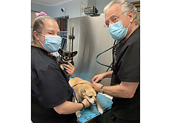 Newark Veterinary Clinics South Orange Animal Hospital