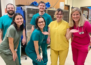 Austin Veterinary Clinics South Park Animal Hospital