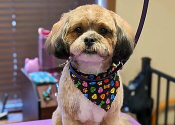 St Paul Pet Grooming South Paw Pet Grooming Salon