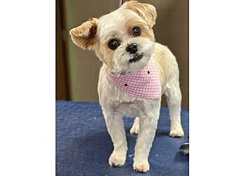 St Paul Pet Grooming South Paw Pet Grooming Salon