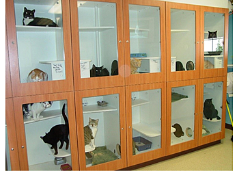 South Shreveport Animal Hospital - Shreveport, LA Veterinary Clinics - Clinic Interior Image
