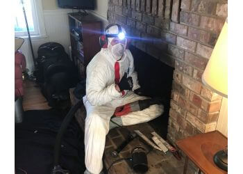 South Sound Sweeps, Inc. - Tacoma, WA Chimney Sweep - Technician Portrait Image