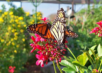 Corpus Christi Places To See South Texas Botanical Gardens & Nature Center