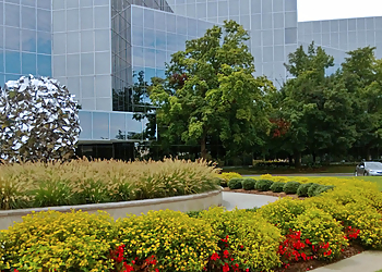 Chula Vista Landscaping Companies SouthWest Environments Landscape Services