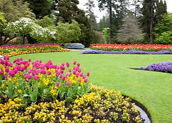 North Charleston Landscaping Companies Southern Acres Landscape & Design, LLC