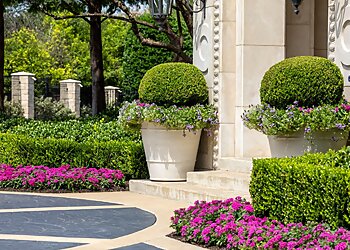 Dallas Landscaping Companies Southern Botanical