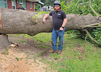 Augusta Tree Services Southern Grind Stump & Tree Removal