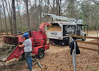 Augusta Tree Services Southern Grind Stump & Tree Removal