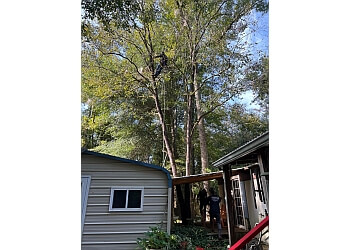Southern Grind Stump & Tree Removal Augusta Tree Services