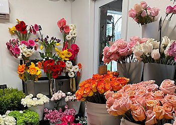 McAllen Florists Southern Roots Flower Market