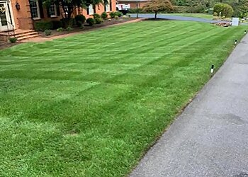 Roanoke Lawn Care Services Southern Sun Landscaping