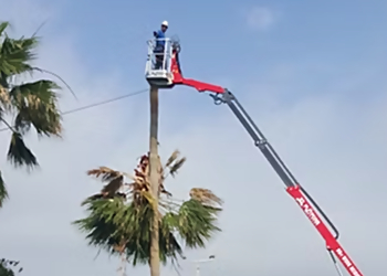 Corpus Christi Tree Services Southern Tree Care
