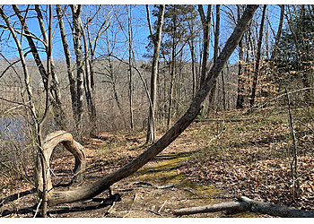 Waterbury Hiking Trails Southford Falls State Park