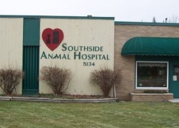 Southside Animal Hospital