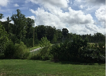 Dog Friendly Parks In Greensboro Nc Dog Friendly Parks In Greensboro Nc