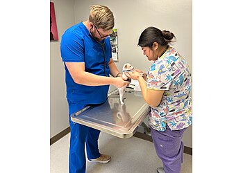 Bakersfield Veterinary Clinics Southwest Veterinary Hospital