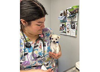 Bakersfield Veterinary Clinics Southwest Veterinary Hospital