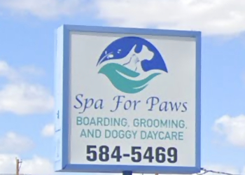 Spa For Paws El Paso Pet Grooming image 1