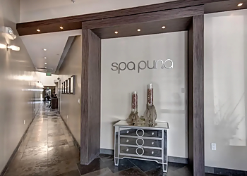 Glendale Spas Spa Pura