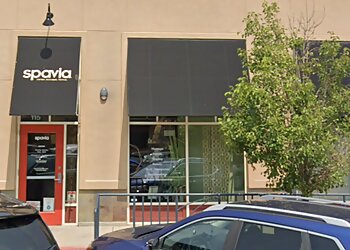 Spavia  Denver Spas image 1