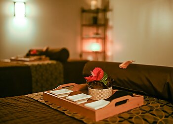 Concord Spas Spavia Day Spa