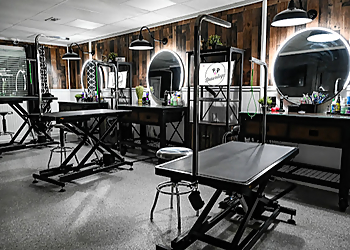 Denver Pet Grooming Spawology Pet Grooming Spa