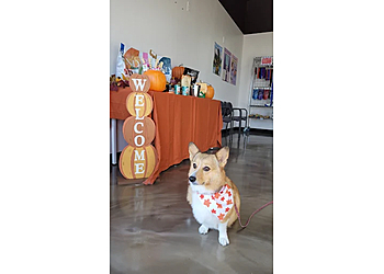 Richardson Pet Grooming Spawz Pet Pampering & Products