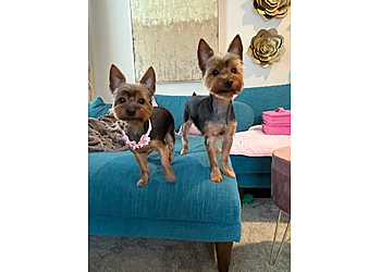 Richardson Pet Grooming Spawz Pet Pampering & Products