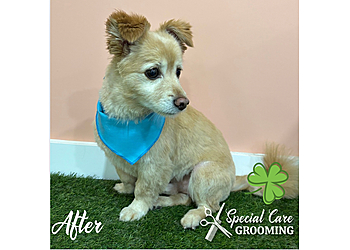 Special Care Grooming - Cincinnati, OH Pet Grooming