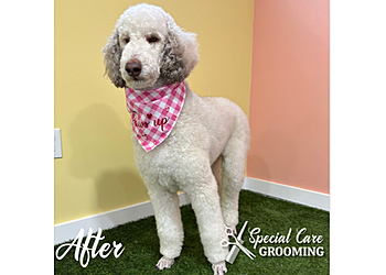 Special Care Grooming - Cincinnati, OH Pet Grooming