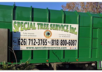 Glendale tree service Special Tree Service