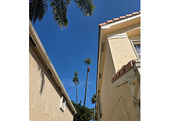 Specialized Tree Care - Hialeah, FL Tree Services - Maintenance Service Image