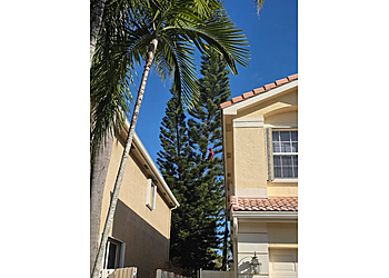 Specialized Tree Care Specialized Tree Care - Hialeah, FL Tree Services - Service Image