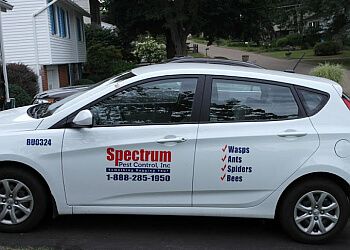 Spectrum Pest Control Pittsburgh Pest Control Companies