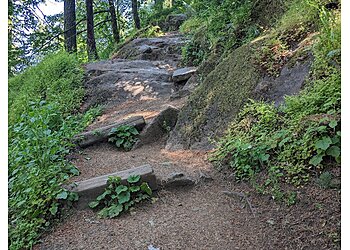 Eugene Hiking Trails Spencer Butte Park