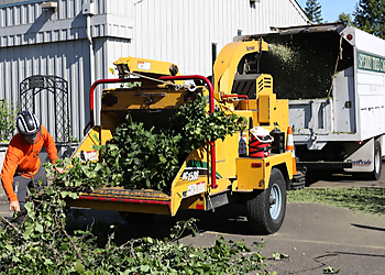 Eugene Tree Services Sperry Tree Care Co.