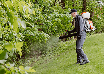 Spidexx Pest Control New Orleans Spidexx Pest Control New Orleans - New Orleans, LA Pest Control Companies - Job Site Image