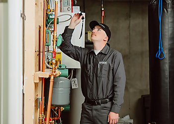 Minneapolis Pest Control Companies Spidexx Pest Control & Termite