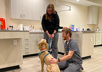 Sploot Veterinary Care - Denver, CO Veterinary Clinics - Doctor With Patient Image