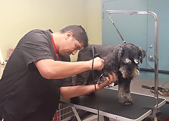 Spokane Pet Grooming Spokane Paw Prints Grooming