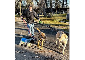 Spokane Dog Walkers Spokane's Best Pet Sitter