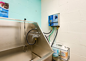 Nashville Pet Grooming Spot's Pet Supply & Dog Wash
