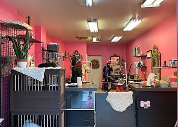 Philadelphia Pet Grooming Spot’s Spot