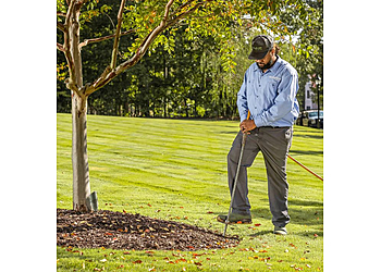 Fayetteville Lawn Care Services Spring Green