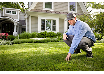 Fort Wayne Lawn Care Services Spring Green