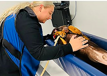 Mobile Veterinary Clinics Spring Hill Animal Clinic